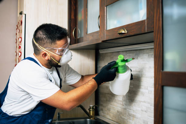 Best Pest Control Near Me  in Woodland, CA