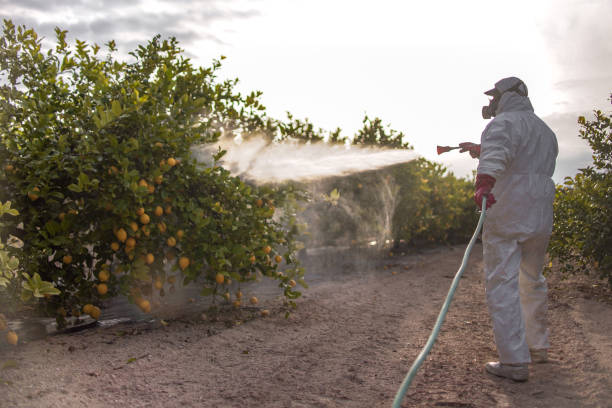 Pest Control for Restaurants in Woodland, CA