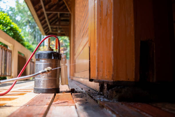 Best Pest Removal Services  in Woodland, CA