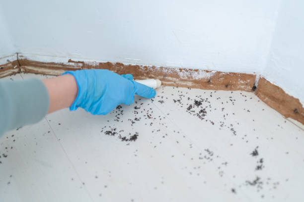 Best Pest Control for Restaurants  in Woodland, CA